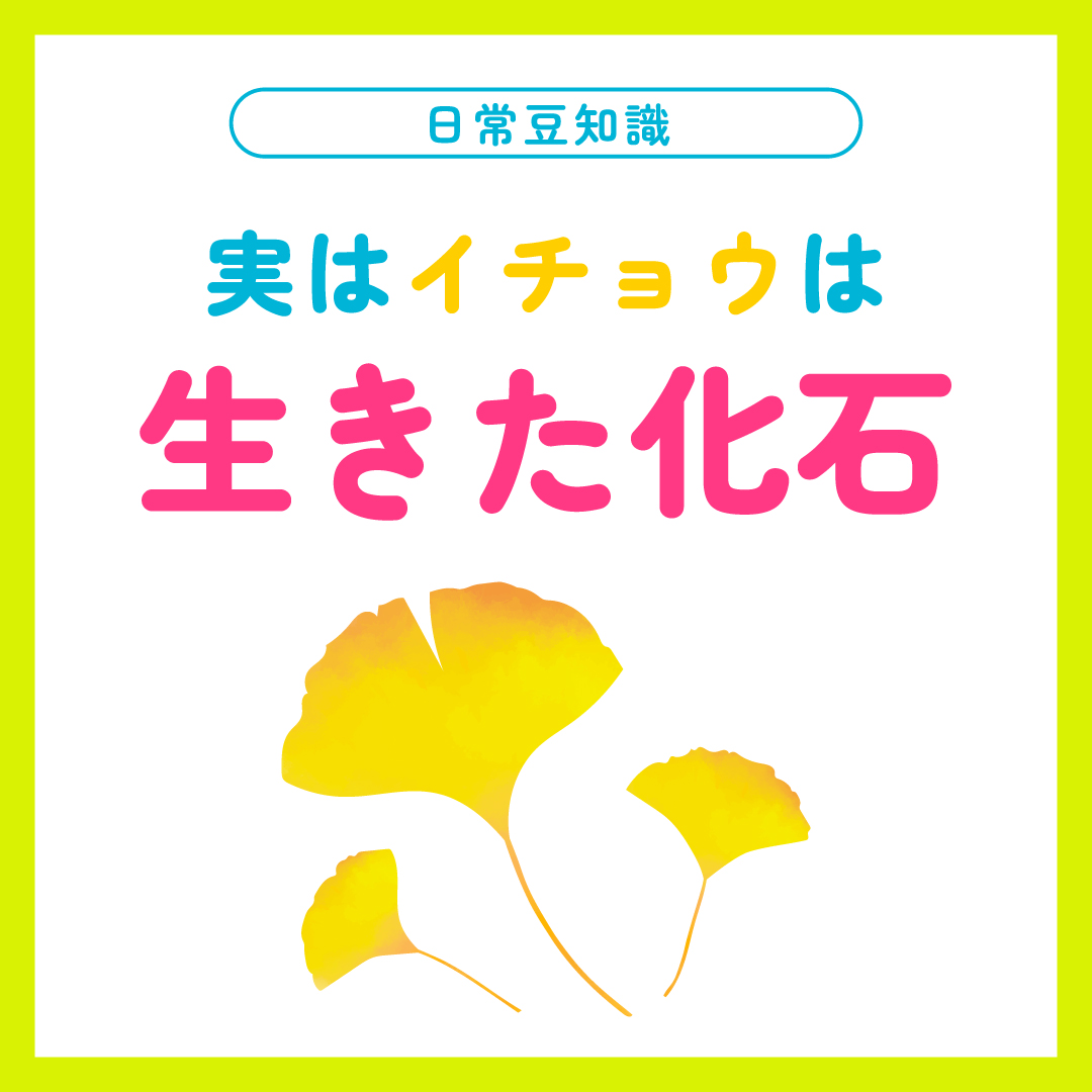 Instagram Image 8