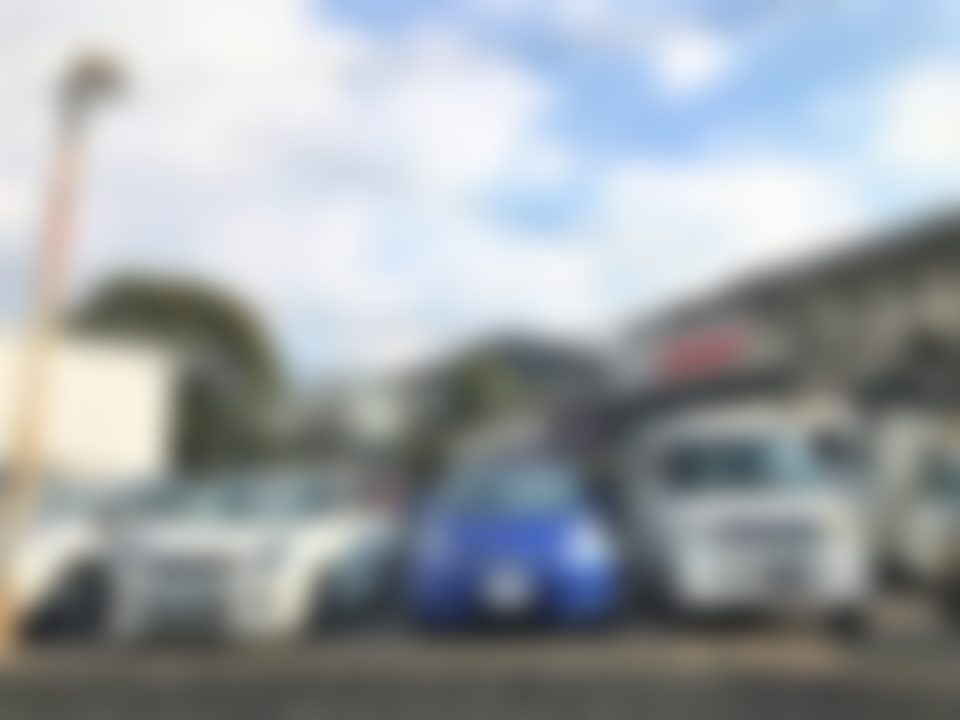 導入先のようす